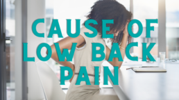 cause of low back pain